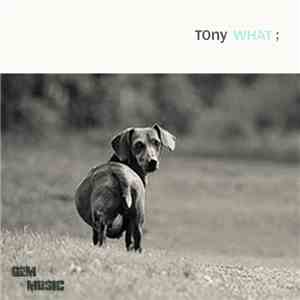 TOny  - What; album