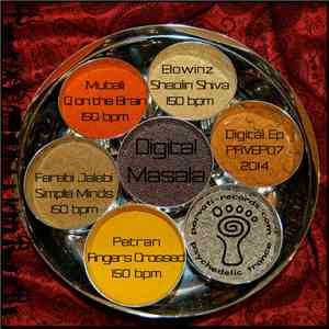 Various - Digital Masala album