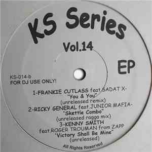 Various - KS Series Vol. 14 album