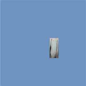 Veronica Moser - Corpo album