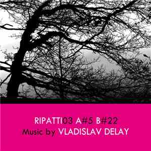 Vladislav Delay - Ripatti03 Digital Version album