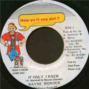Wayne Wonder - If Only I Knew album
