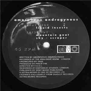 Amorphous Androgynous - Liquid Insects album