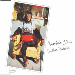 Barenaked Ladies - Another Postcard album