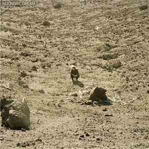 Ben Howard  - Noonday Dream album