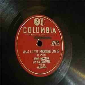 Benny Goodman And His Orchestra - What A Little Moonlight Can Do / I'll Never Say "Never Again" Again album