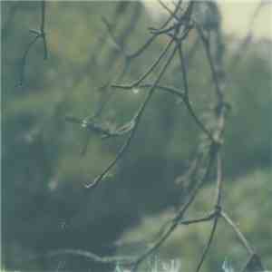 Benoit Pioulard - Lignin Poise album