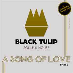 Black Tulip - A Song Of Love (In Times Of War) Part II album