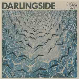 Darlingside - Birds Say album