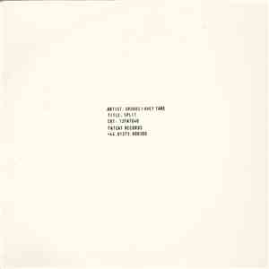 David Grubbs / Avey Tare - Split Series #16 album