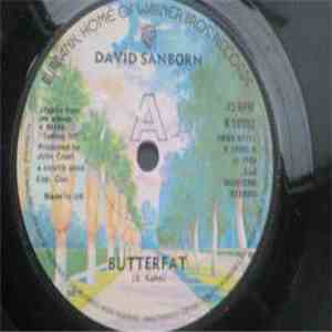 David Sanborn - Butterfat album