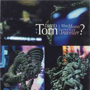 David Torn - What Means Solid, Traveller? album