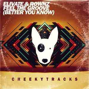 Elivate & Rownz - Feel The Groove (Better You Know) album