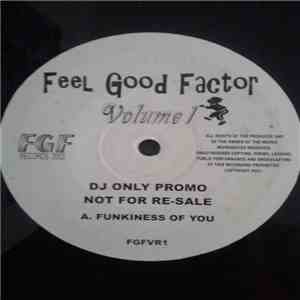 Feel Good Factor  - Volume 1 album
