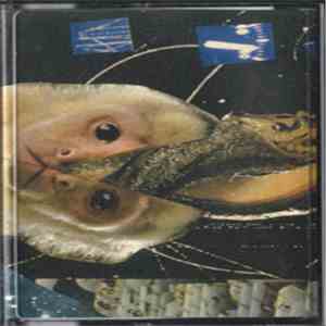 Ghost Moth | Fossils - Ghost Moth | Fossils album