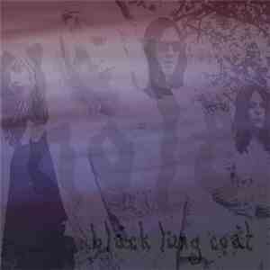 Hole  - Black Lung Coat album