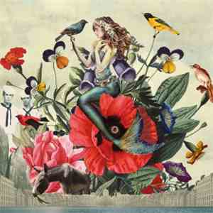 Janne Schra & Noordpool Orkest - Vasalis album