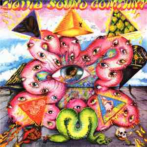Liquid Sound Company - Exploring The Psychedelic album
