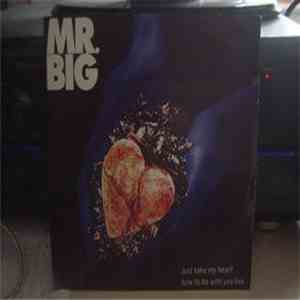 Mr. Big - Just Take My Heart album