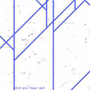 Needless Noise - Did You Hear Me? album