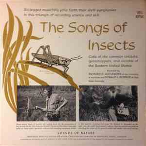 No Artist - The Songs Of Insects Of The Eastern United States album