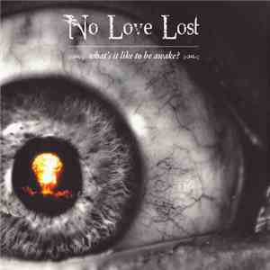 No Love Lost  - What's It Like To Be Awake album