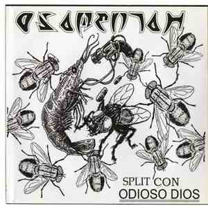 Osamentah, Odioso Dios - Split album