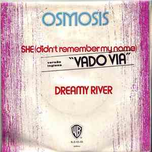 Osmosis  - She (Didn't Remember My Name) / Dreamy River album