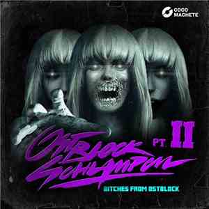 Ostblockschlampen - Bitches From Ostblock Pt. II album