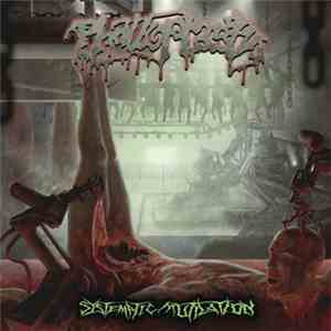 Phalloplasty - Systematic Mutilation album