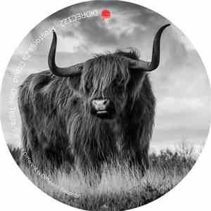 Prostorija Za Otpad - Drva Tegla album
