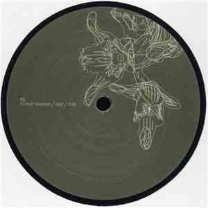 Ricardo Villalobos - Achso album