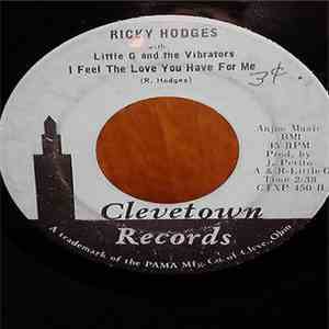 Ricky Hodges With Little G & The Vibrations - Don't Blow No More / I Feel The Love You Have For Me album