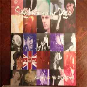 Slaughter And The Dogs - Barking Up The Right Tree album