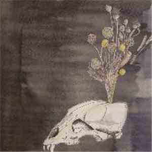 Steve Gunn and Black Twig Pickers - Seasonal Hire album