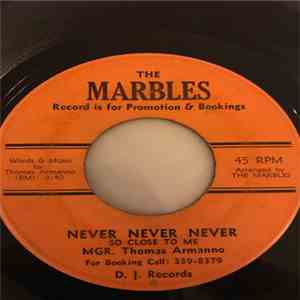 The Marbles  / Peter Gale  - Never Never Never / I Still Pass Your House Every Night album