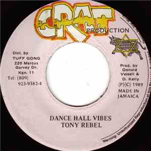 Tony Rebel - Dance Hall Vibes album