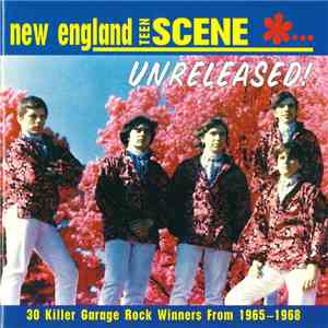 Various - New England Teen Scene... Unreleased! album