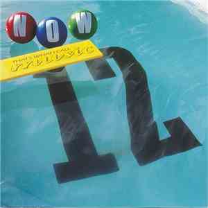 Various - Now That's What I Call Music 12 album
