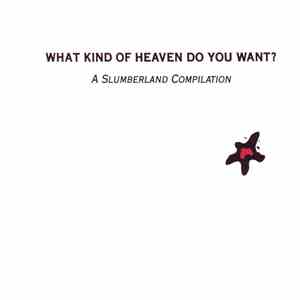 Various - What Kind Of Heaven Do You Want? album