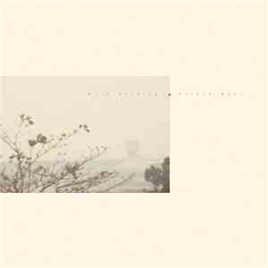 Wild Nothing - Golden Haze album