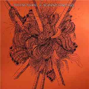 Yellow Swans & Burning Star Core - Yellow Swans & Burning Star Core album