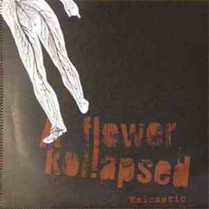 A Flower Kollapsed / Esicastic - Split album