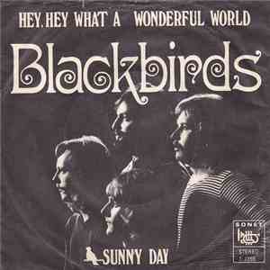 Blackbirds  - Hey, Hey, What A Wonderful World album