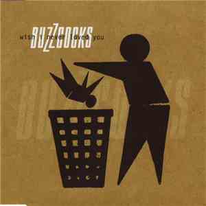 Buzzcocks - Wish I Never Loved You album