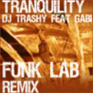 DJ Trashy Feat Gabi - Tranquility (Funk Lab Remix) album