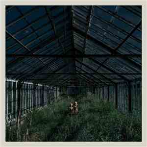 Foxing - Dealer album