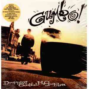 Gumbo  - Dropping Soulful H2O On The Fiber album