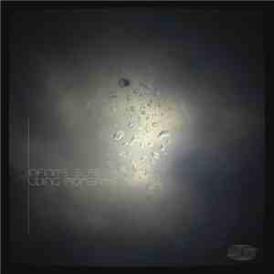 Infinite Scale - Living Moments album