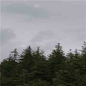 Jesu - Infinity album
